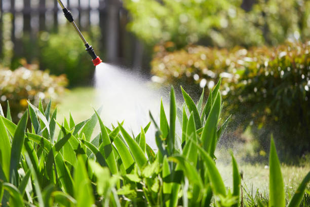 24/7 Emergency Wasp Removal experts in Lake Alfred, FL