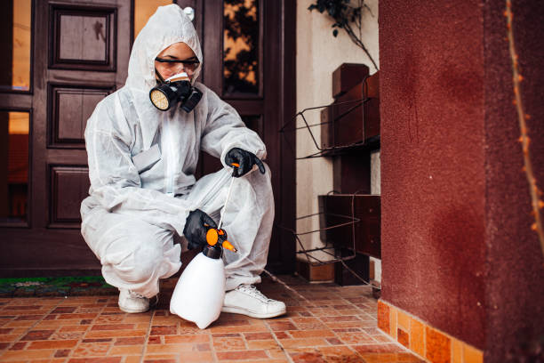 Reliable Wasp Removal contractor in Lake Alfred, FL by Show Me Pest Control